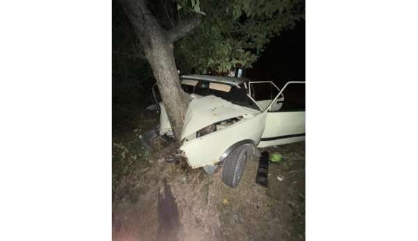 Sinop'ta virajı alamayan otomobil ağaca çarptı: 2 yaralı