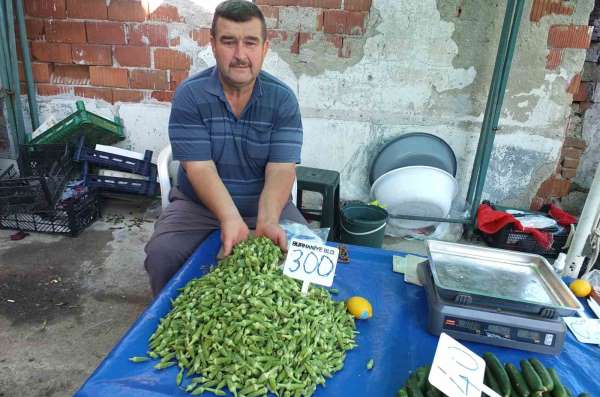 Burhaniye'de bamya üreticisine kazandırdı