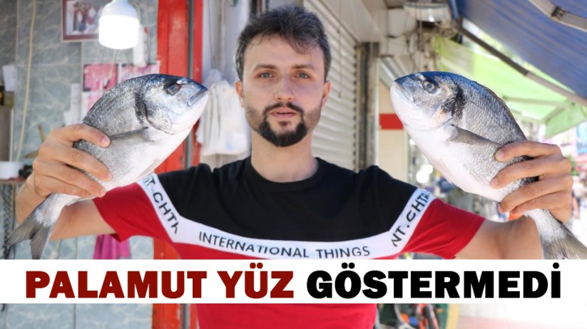 Palamut yüz göstermedi