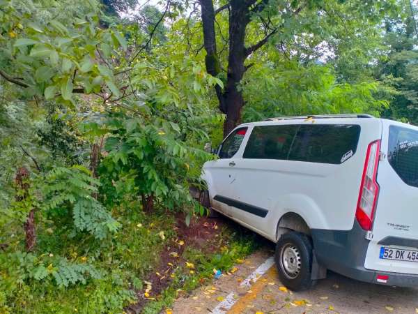 Samsun'da minibüs ağaca çarptı: 2 yaralı