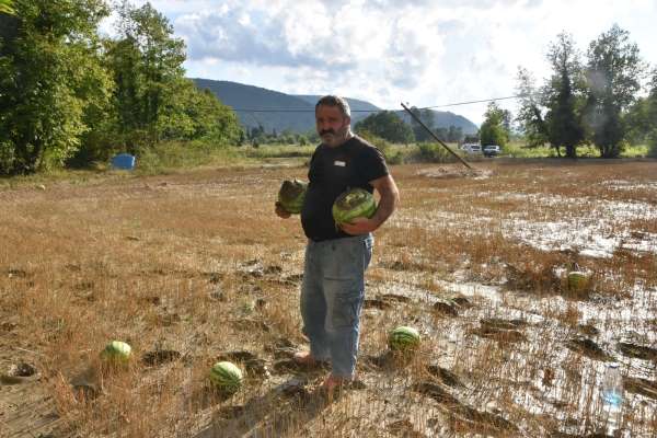 Sinop'ta yaşanan sel felaketi karpuz tarlasını da vurdu
