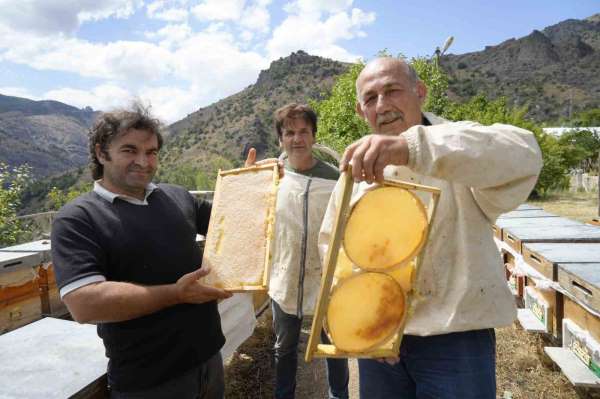 Gümüşhane'de 2025 yılı bal hasadı üreticilerin yüzünü güldürdü