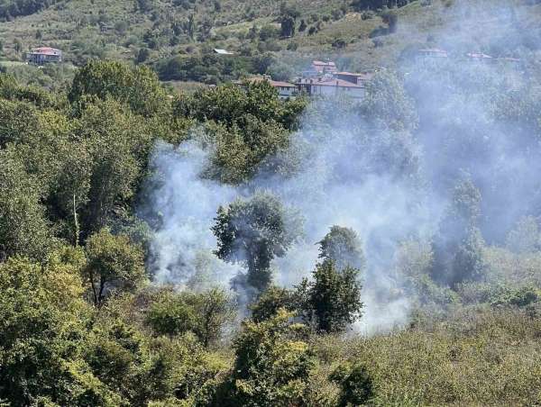 Ordu'da bahçe temizliği yangına yol açtı