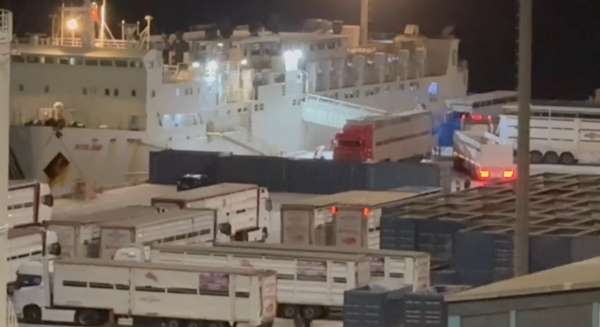 'Yüzen Ahır' yine Bandırma'da: Çelebi Limanı'na tepkiler büyüyor