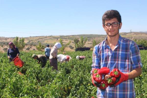 Alternatif olarak ekildi, yurdun dört bir yanına gönderiliyor