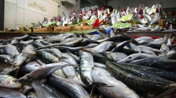 Balık fiyatları düştü, vatandaşların ilgisi arttı - Çanakkale haber