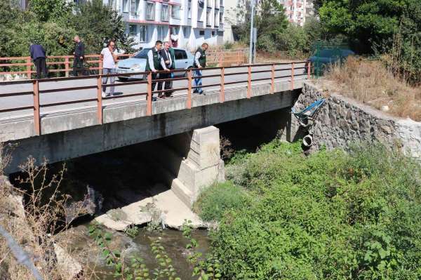 Hacı Osman Deresi ve Tersakan Irmağı'nın ıslahı talebi - Samsun haber
