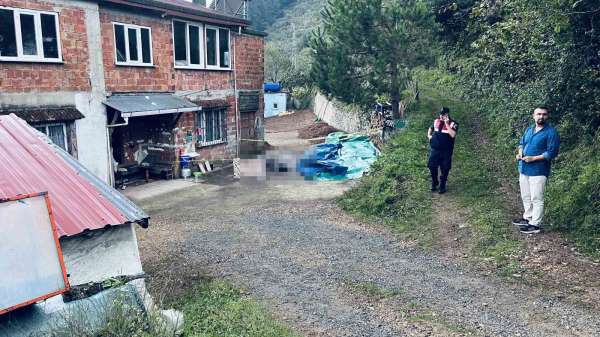Ordu'da kardeşler arasındaki arazi ve yol kavgası kanlı bitti: 1 ölü, 1 yaralı