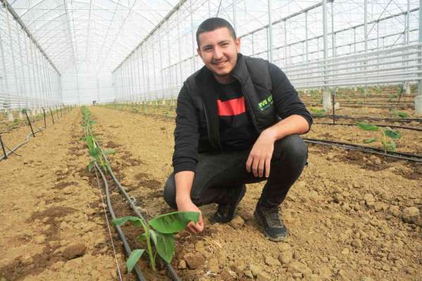 Balıkesir muz üretimi ile Antalya ve Mersin'e rakip olacak