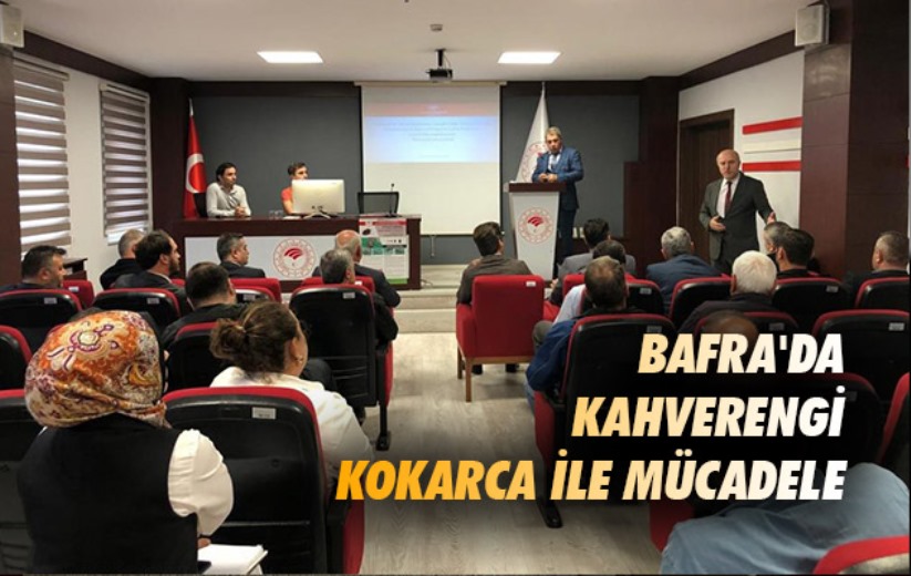 Samsun'da kahverengi kokarca ile mücadele