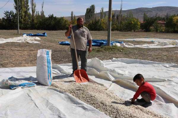 Tüccarın fırsatçılığı çiftçiyi mağdur ediyor