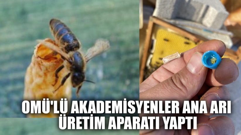OMÜ'lü akademisyenlerden arıcılığa yenilikçi katkı: Ana Arı Üretim Aparatı