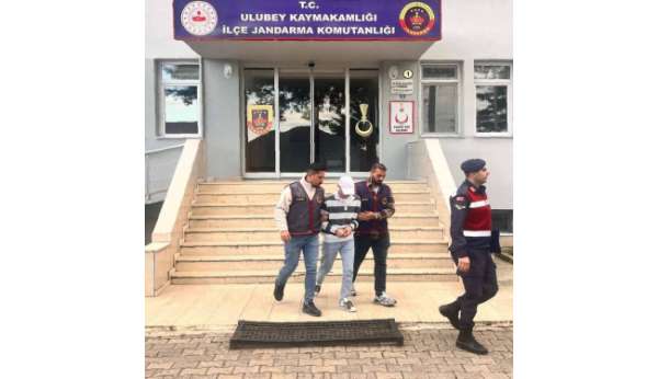 Ordu'da evden fındık çalan şüpheli tutuklandı