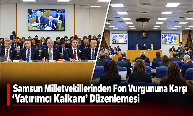 'Fon Düzenlemesi' Plan ve Bütçe Komisyonu'nda