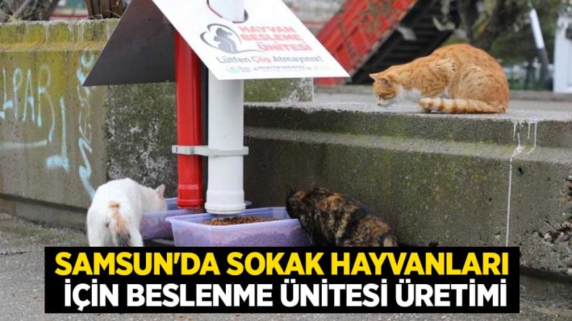 Samsun'da sokak hayvanları için beslenme ünitesi üretimi