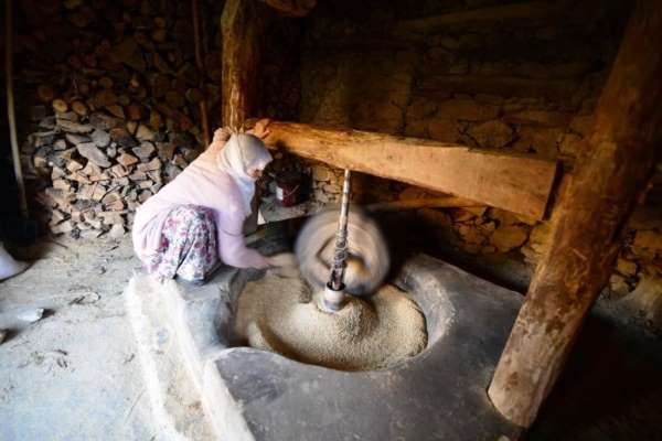 Hizan'da üretilen çeltik asırlık su değirmeninde öğütülüyor
