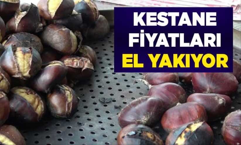 Kestane fiyatları el yakıyor