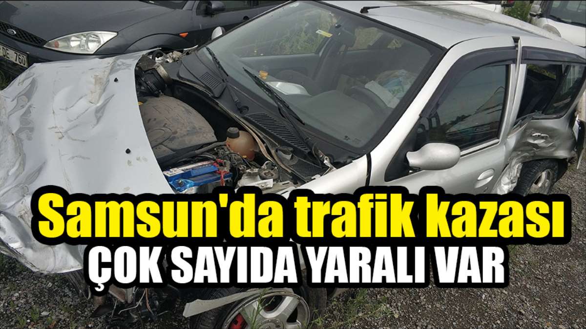 Samsun Nissan Yetkili Servisi