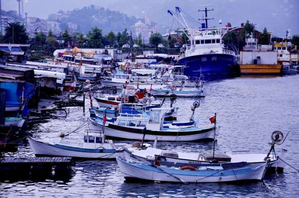 Arslan: 'Karadeniz alarm veriyor, balık av sezonu Kasım'da kapanabilir' 