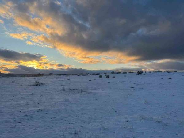 Çimsa, şehitlik için 80 yıllık rezervden feragat ediyor