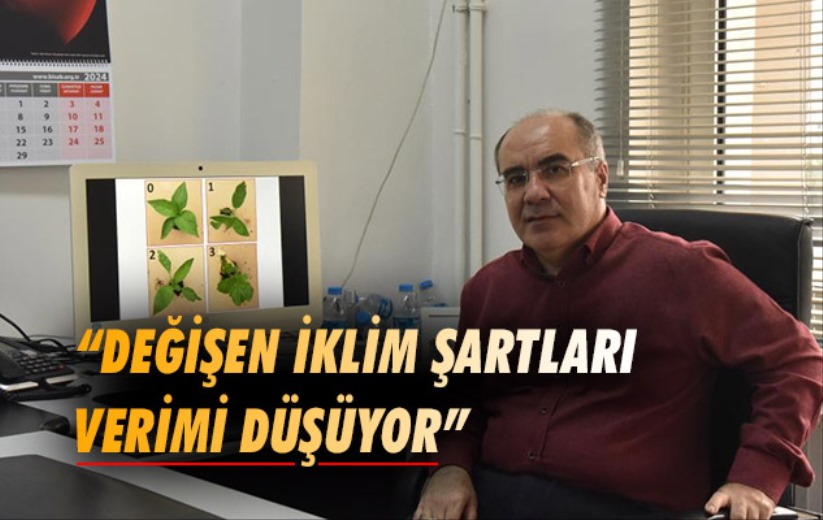 Prof. Dr. Ahmet Balkaya: 'Değişen iklim şartları verimi düşüyor'