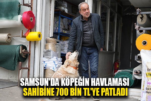 Samsun'da köpeğin havlaması sahibine 700 bin TL'ye patladı