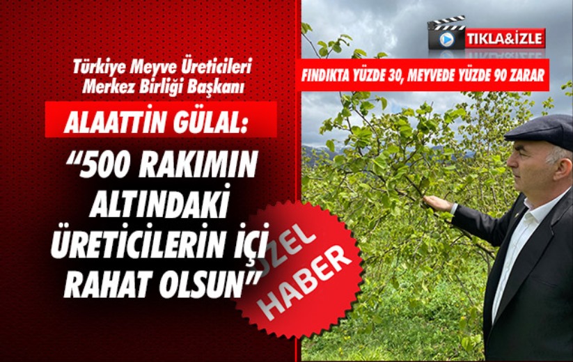 Alaattin Gülal: '500 rakımın altındaki üreticilerin içi rahat olsun'