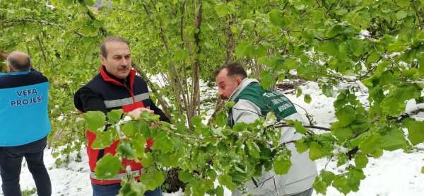 Terme'de hasar tespiti çalışmaları başladı