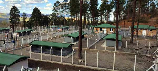 Ünye'de sahipsiz hayvanlar için örnek tesis tamamlanıyor