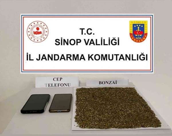 Sinop'ta 80 gram bonzai ele geçirildi