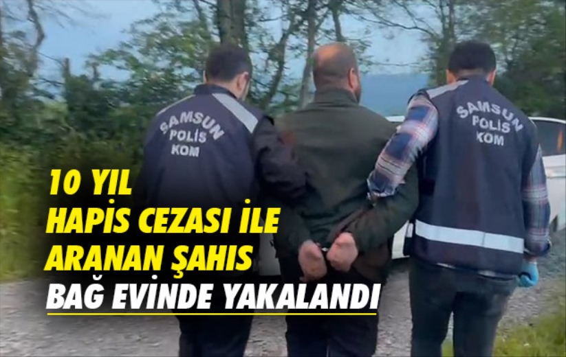 Samsun'da 10 yıl hapis cezası ile aranan şahıs bağ evinde yakalandı