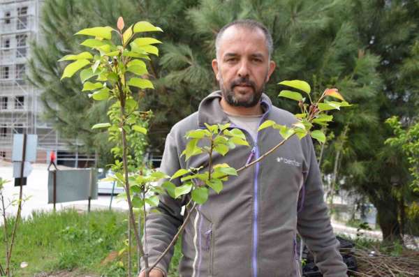 Dededen toruna uzanan bir meslek mirası