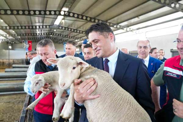 Aliağa'da üçüncü etap damızlık küçükbaş dağıtımı yapıldı