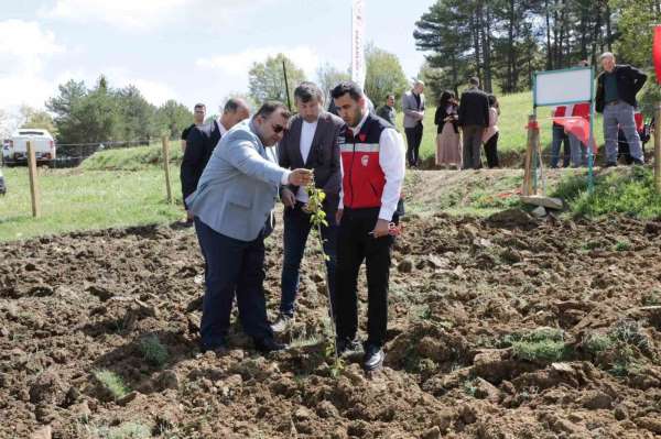 Pazarlar'da atıl durumdaki hazine arazisi tarıma kazandırıldı