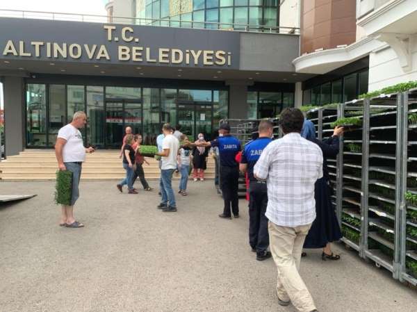 Altınova'da 167 bin yerli tohum fidesi dağıtıldı 