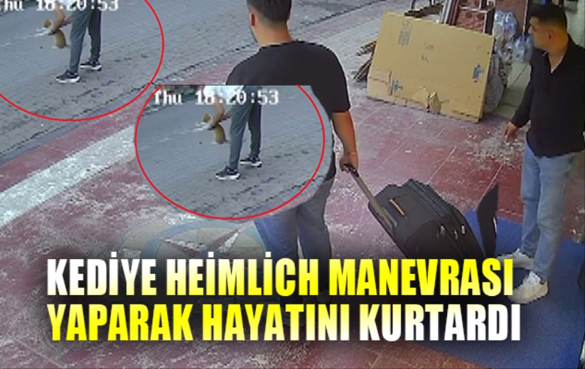 Kediye Heimlich manevrası yaparak hayatını kurtardı