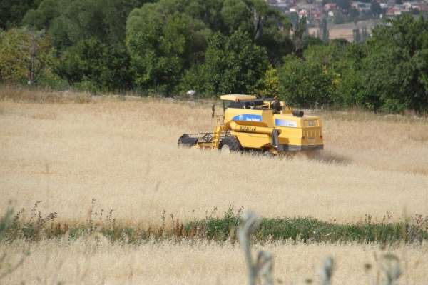 Beyşehir'de hububat tarlalarında hasat devam ediyor 