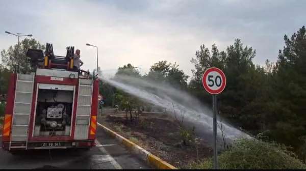 Dicle Üniversitesi'ndeki örtü yangını söndürüldü