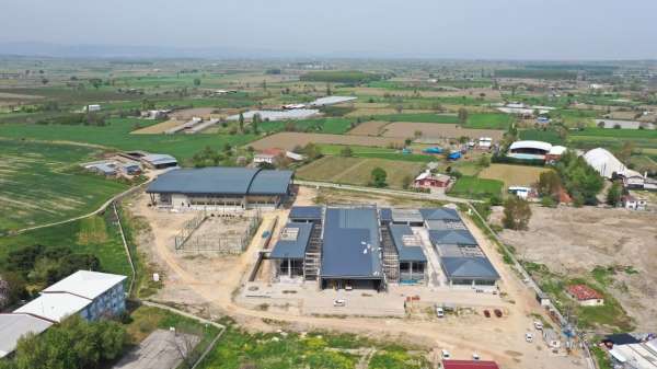 Böylesi ancak büyük şehirlerde olur