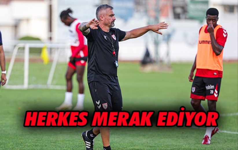 Herkes Merak Ediyor