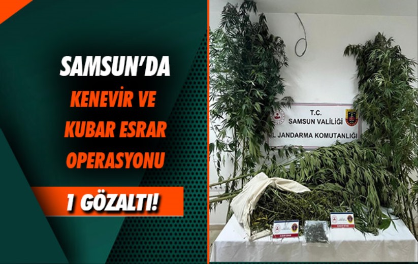 Samsun'da jandarma kenevir ve kubar esrar ele geçirdi