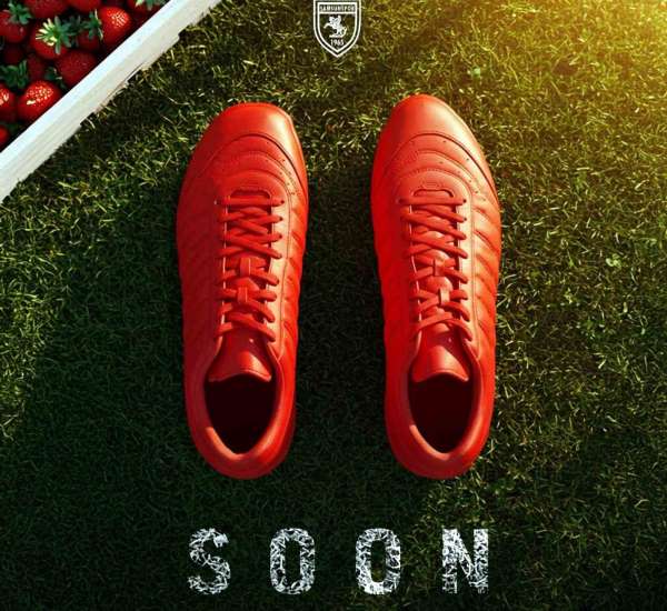 Samsunspor'un kalesi Polonyalı eldivene emanet