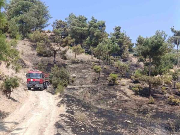 Kahramanmaraş'ta orman yangını kontrol altına alındı