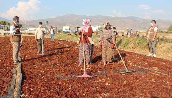 Alaşehir'de üreticilere fiyat uyarısı