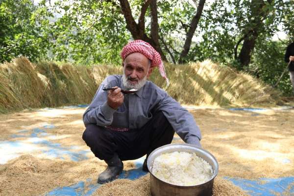 Hizan'da üretilen çeltik 150 yıllık değirmende öğütülüyor 