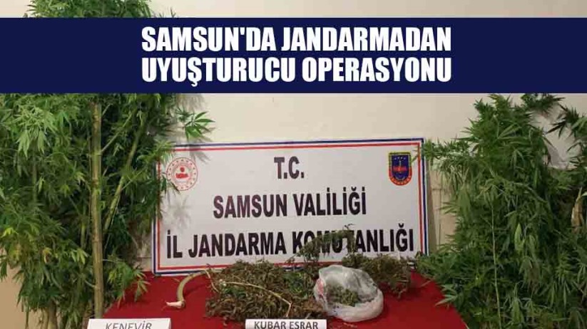 Samsun'da jandarmadan uyuşturucu operasyonu