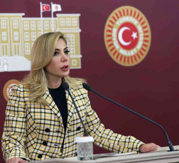 AK Parti Milletvekili Gökcan: 'Sosyal devlet olmanın gereğini yapıyoruz' - Muğla haber