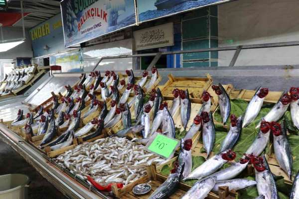Balık bollaşınca fiyatlar 50 TL'ye geriledi - Zonguldak haber