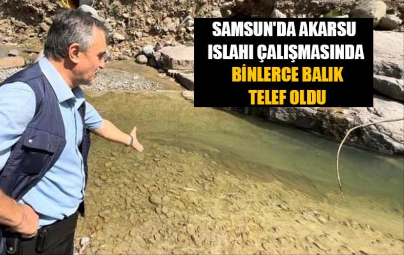 Samsun'da akarsu ıslahı çalışmasında binlerce balık telef oldu