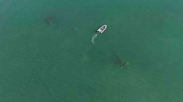 92 yıl yıl Ordu'da batmıştı: Rus şilebi dron ile görüntülendi, dalgıçlar gemiyi ilk kez keşfetti